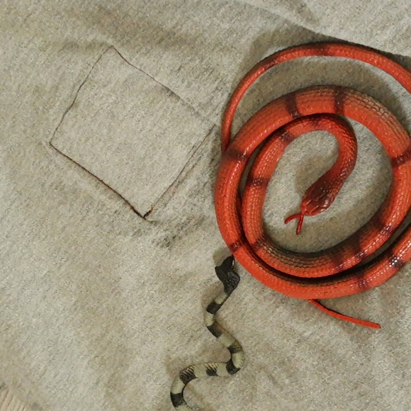 BugsT 3D Lizard Tee, Book, Toy - Picture 9 of 16